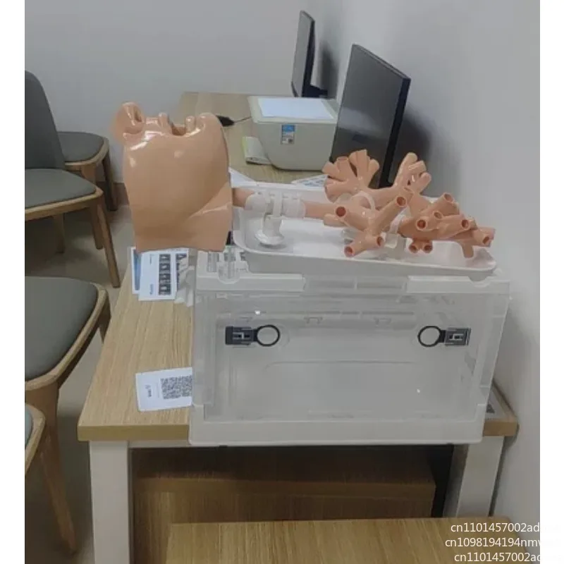 Bronchoscopy Training Model  Bronchoscopy Practice Model Fiberoptic  Fiberoptic Bronchoscopy