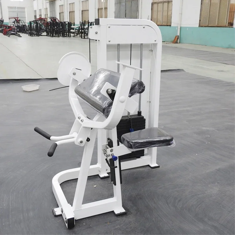 Commercial Use Safe and Reliable Aerobic Exercise Fitness Equipment Pin Loaded Bicep Curl Machine for Gym Fitness Equipment