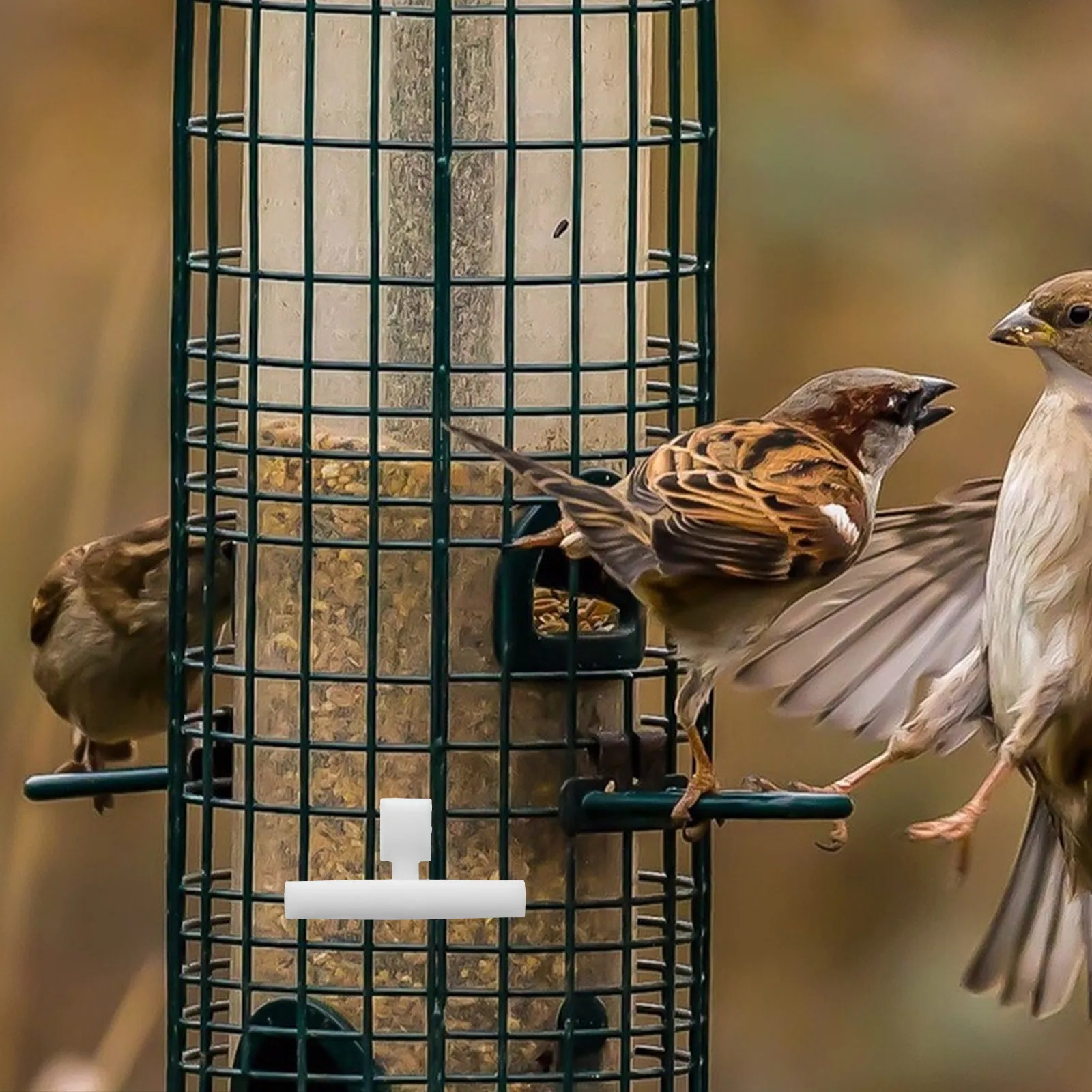 

5Pcs Hanging Bird Feeder Perch Sturdy Acrylic Pole for Bird Cage Food Holder Bowl Water Feeder Perch Outdoor Indoor Use