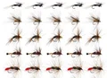 25pcs