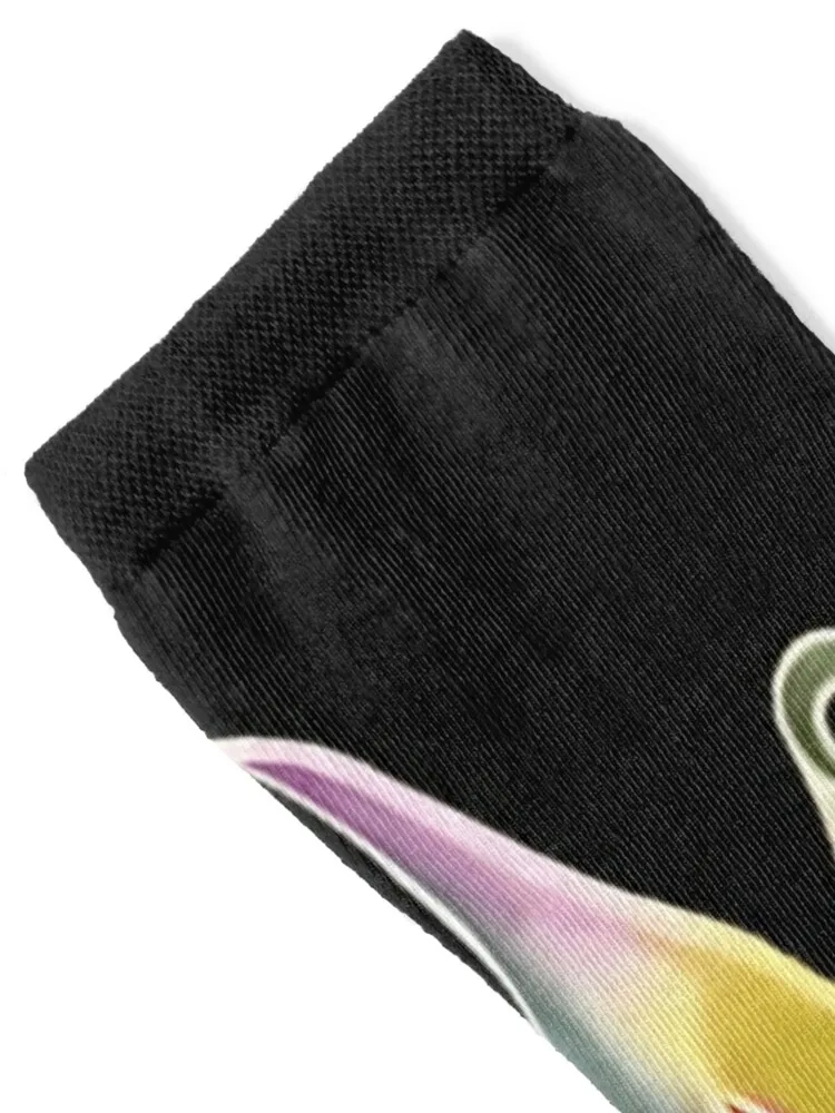 Duane Allman Peacock Socks set man winter thermal New year's Socks For Men Women's