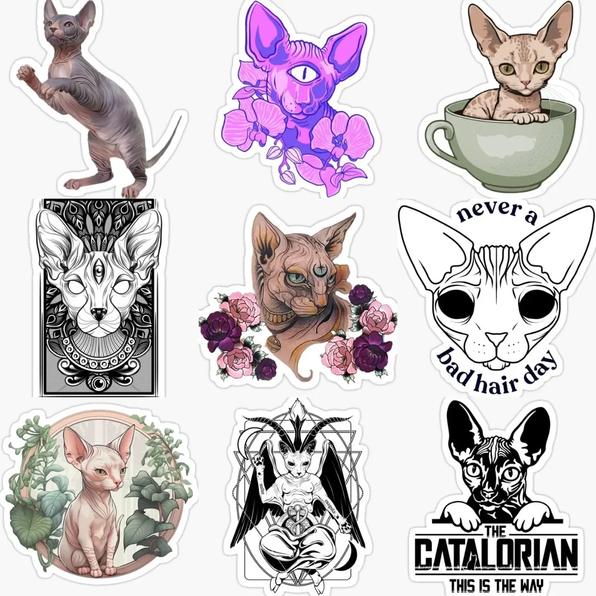

Creative Canadian Hairless Cat Sphynx Cat Pets PVC Stickers for Decorate Car Van Bicycle Window Fridge Wall Van Helmet Decal