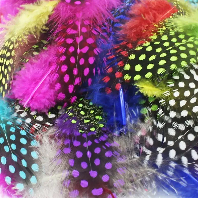 Plumes de pintade colorées naturelles, chapeau de faisan, bijoux, jus, accessoires d'artisanat, petite plume décorative