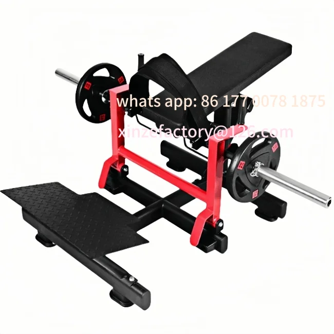 Customizable Gym Fitness Equipment Butt Shaping Maquina De Hip Thrust Machine