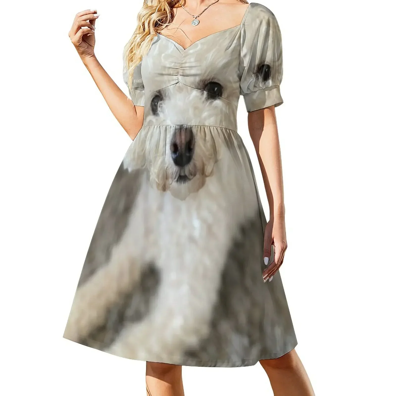 

Cavachon Sleeveless Dress Dresses Long dresses women dress Summer women's clothing Dress