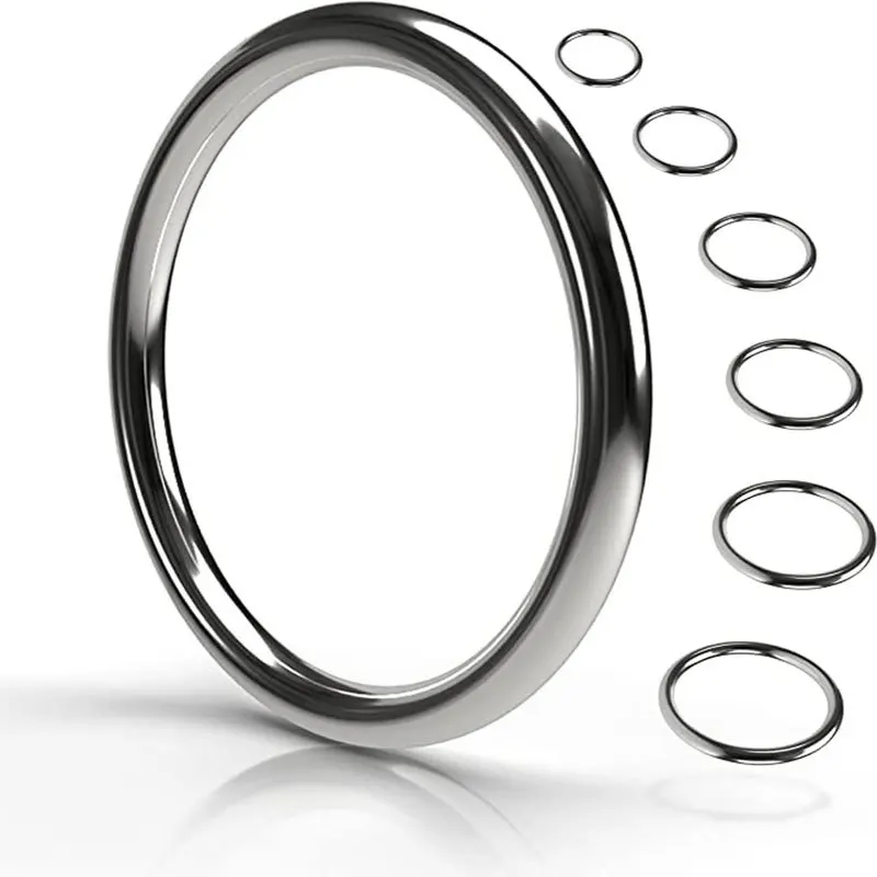 2-5 Stück 15-100mm Edelstahl O-Ringe Schnallen Metall-Taschenriemenring Verbinder Kreisförmige Hundehalsband-Schlaufe DIY Hardware-Zubehör