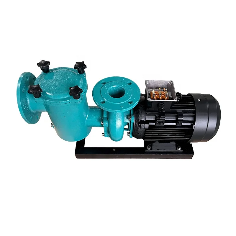 Factory Supply Swimming Pool Pump And Filter System Pumps For Swimming Pool