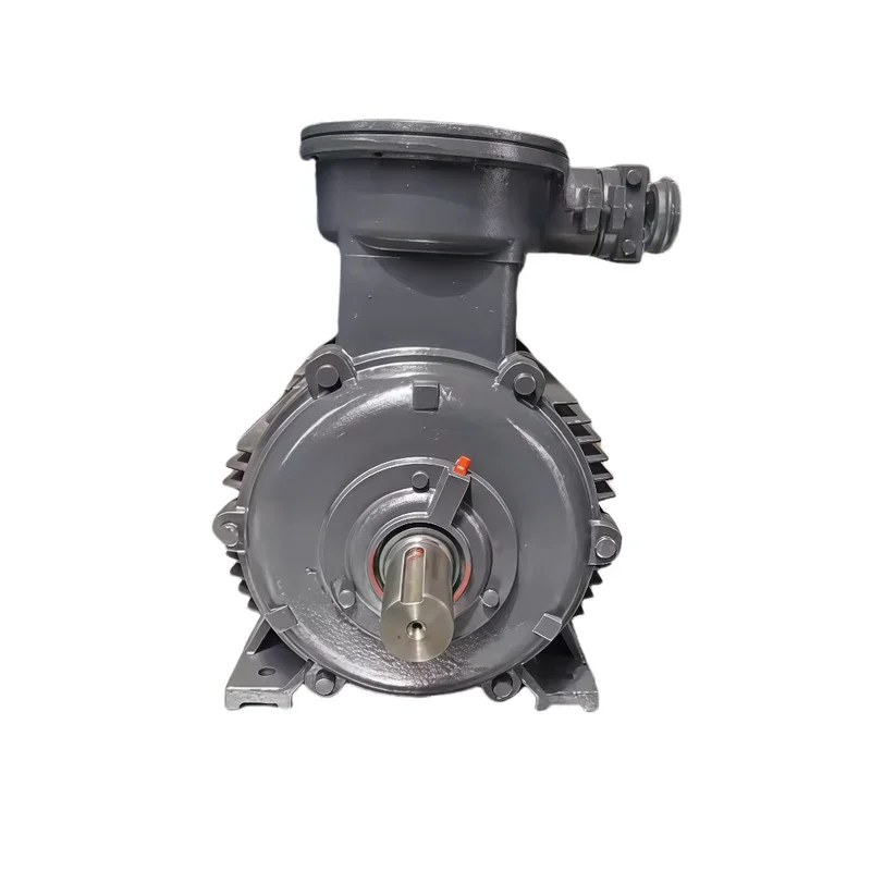 มอเตอร์ไฟฟ้ากระแสสลับแรงดันต่ำ 4P ป้องกันการระเบิด สำหรับการแปรรูปอาหารในภาคสนาม และการใช้งานที่ต้องการป้องกันการระเบิดจากฝุ่น