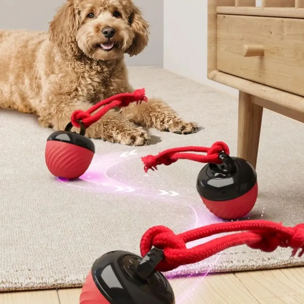 

Creative Intelligent Dog Toy Ball Imitation Mouse 3 Modes Automatic Moving Bouncing Ball Automatic Bouncing LED Lighting