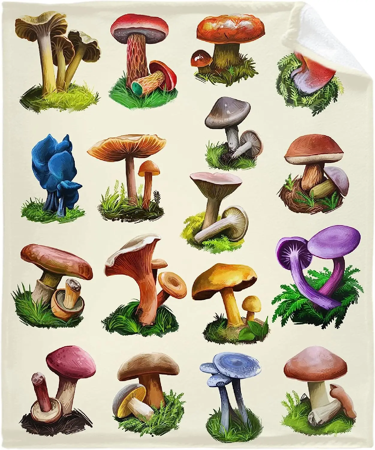 Colorful Mushrooms Collection Blanket, Wild Species Natural Organic Food  Throw Blanket Gifts for Women, Ultra Soft Warm