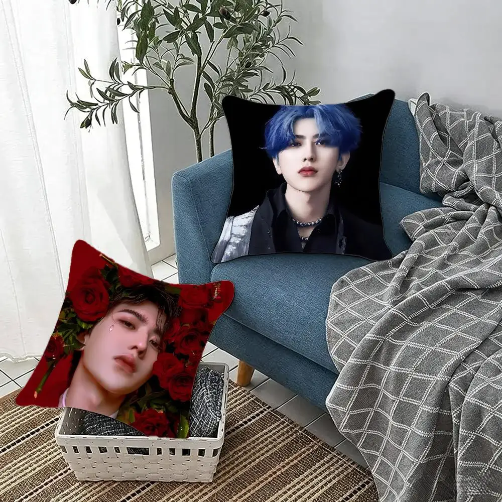 Handsome Actor Trendy Idol C-Cai Xukun Cushion Cover Fluffy velvet Nordic style plush Living room sofa decorative