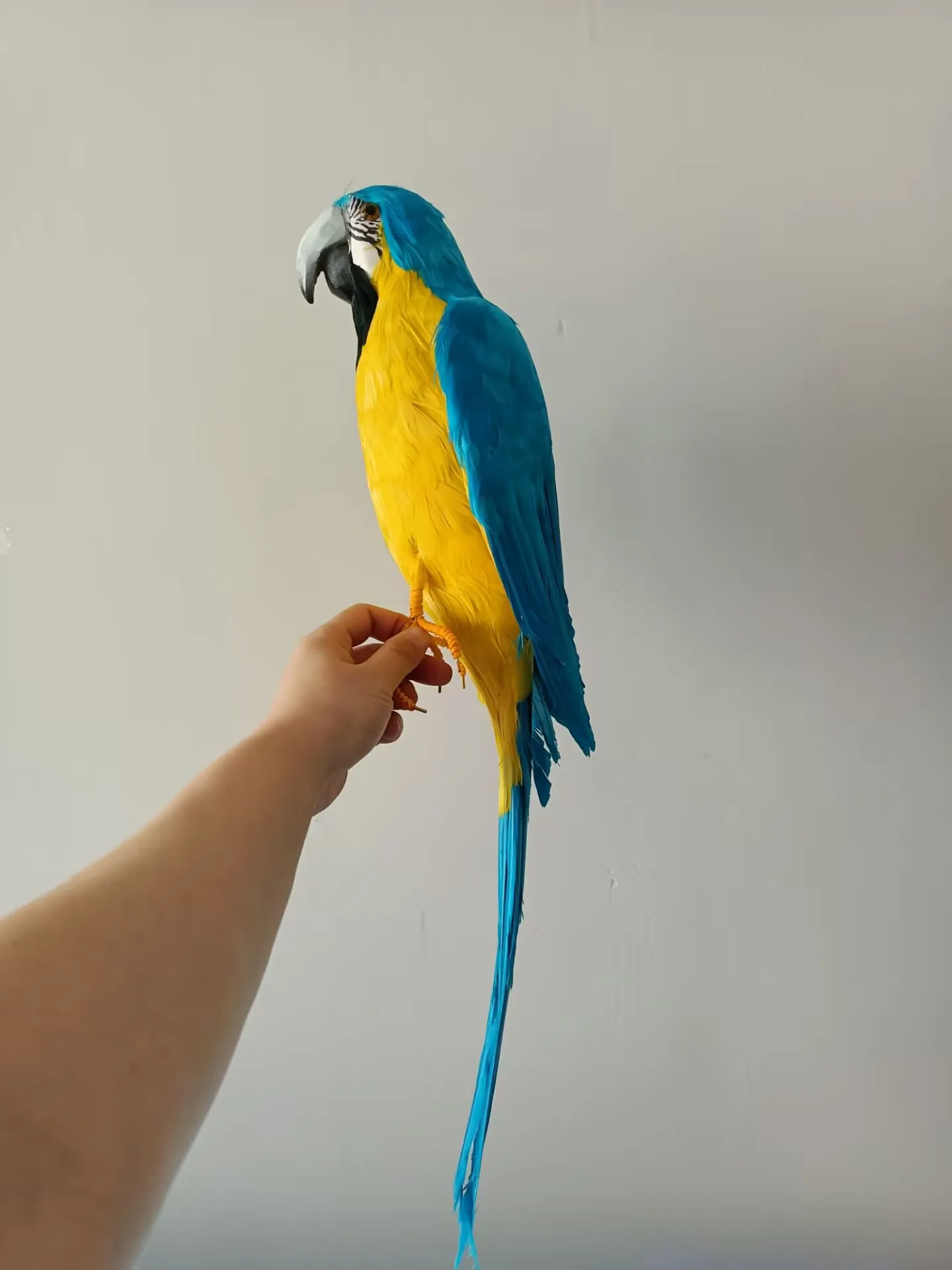 about 60cm  Foam Feather Parrot Model with Little Wings Simulation home decoration