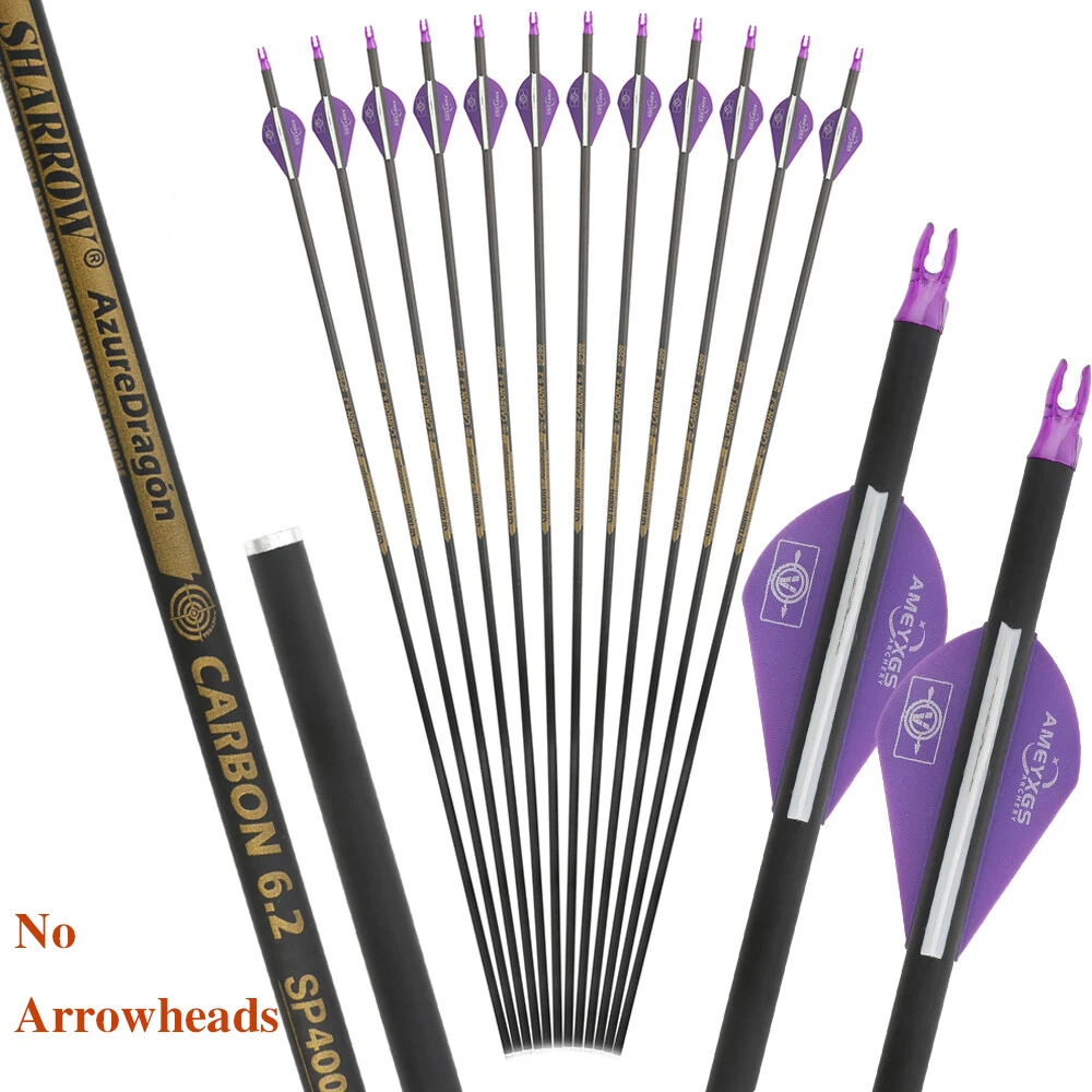 

Shooting Hunting Archery Pure Carbon Arrows 30Inch 2" Vanes No Arrowheads Recurve Compound Bow Spine 400/500/600/ID6.2mm 6/12pcs