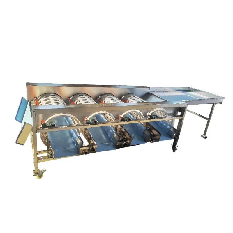 Fruit Size Sorting Machine Industrial Grading Unit For Dates Classification And Multikind Fruit Processing Production Work