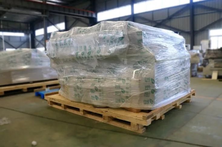 Macchina automatica a spruzzo lineare a 5 assi per verniciatura su due lati per la linea di produzione di verniciatura