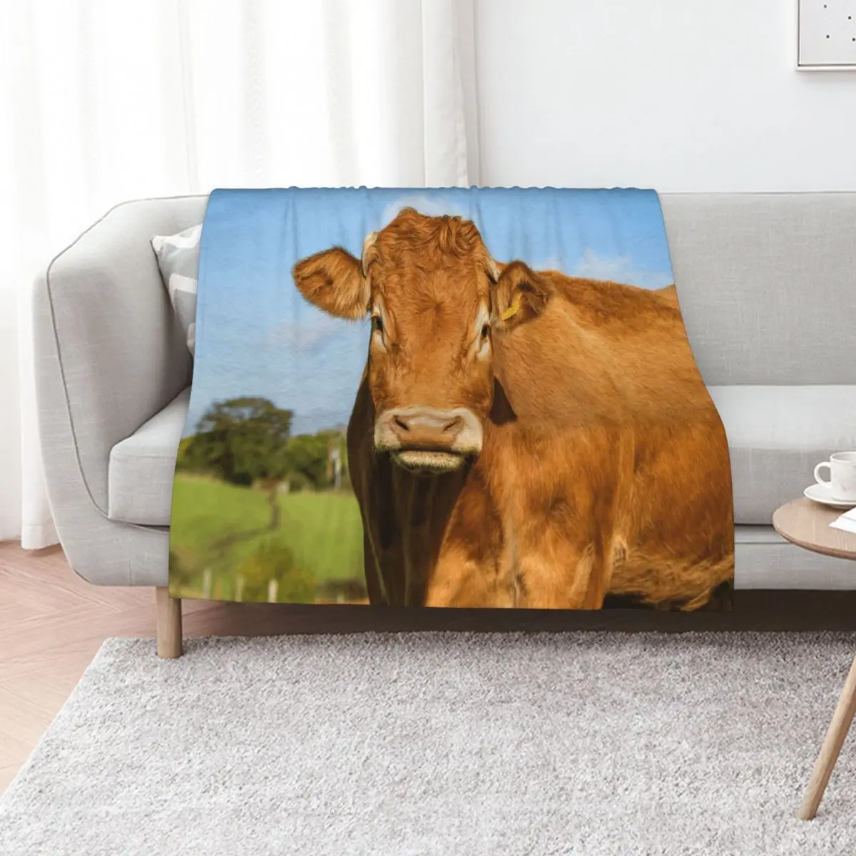 

Limousin Cow Throw Blanket Bed linens Tourist For Baby blankets and throws Blankets