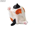 Calico cat