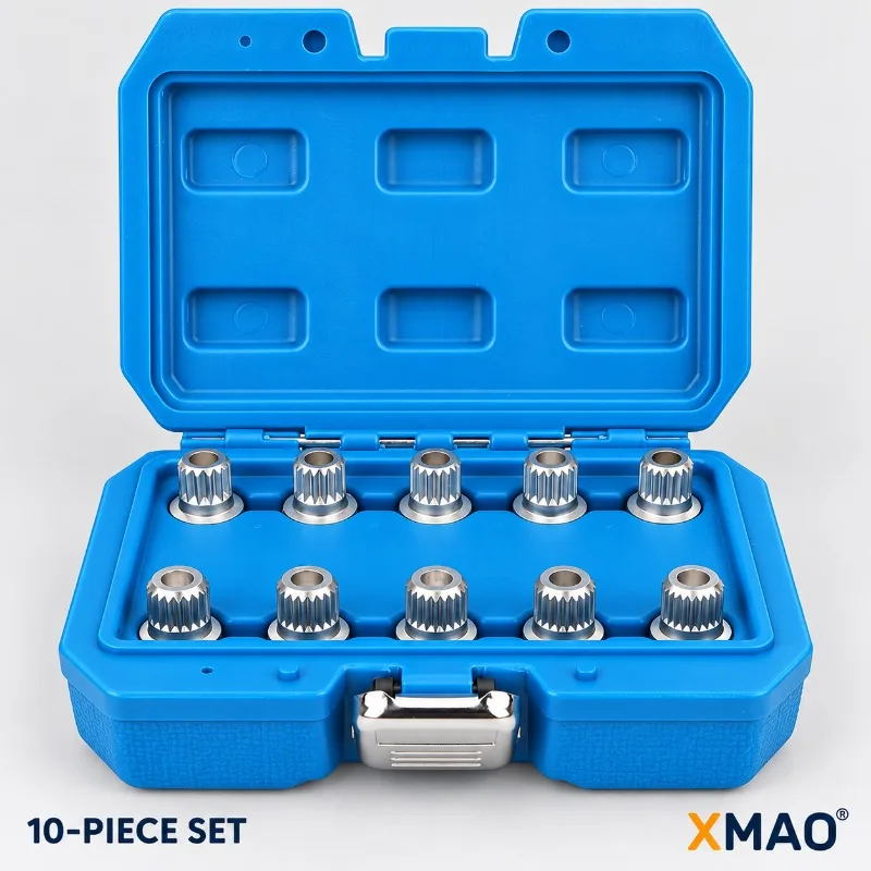 10PCS Wheel Lock Nut Key Socket Set for BMW 1 2 3 5 7 Series and X1 X3 X4 X5 X6, Hollow Splined Keys in Blue Carry Case Kit