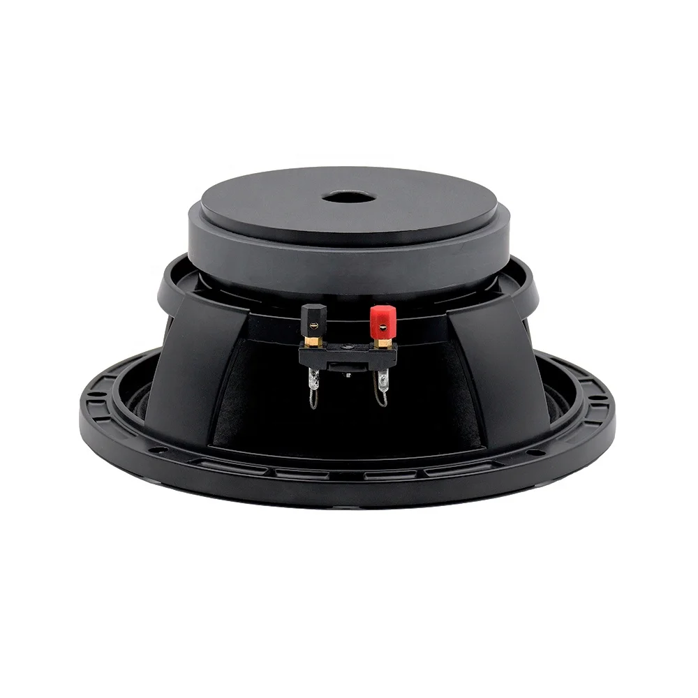 T-R10K260 Altoparlante woofer da 10 pollici Pro Sound Equipment Midbass Ferrite 1000W 10''