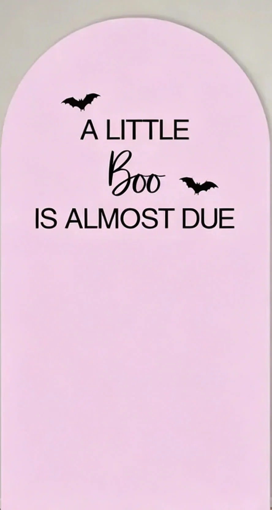 Custom 2-Side A Little Boo is Almost Due Baby Shower Arch Backdrop Cover Black Spider Halloween Birthday Party Decor Backdrop
