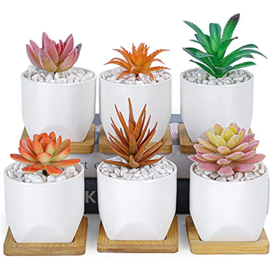 

Сочные горшки 3-дюймовый небольшой горшок для сочных горшков с дренажными лотками Набор из 6 керамических горшков для комнатных растений Цветок кактуса
