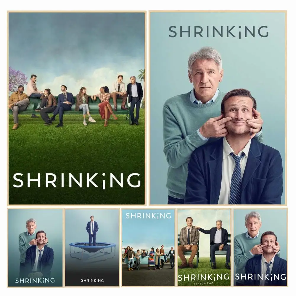 tv series S-Shrinking-G Poster Decorative Wall Art Sticker for Cafe Office Bedroom and Living Room