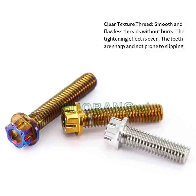 304 Stainless Steel Hex Flange Screws for Motorcycle Mudguard Modification, Fancy Plum Flower Screws M6/M8/M10