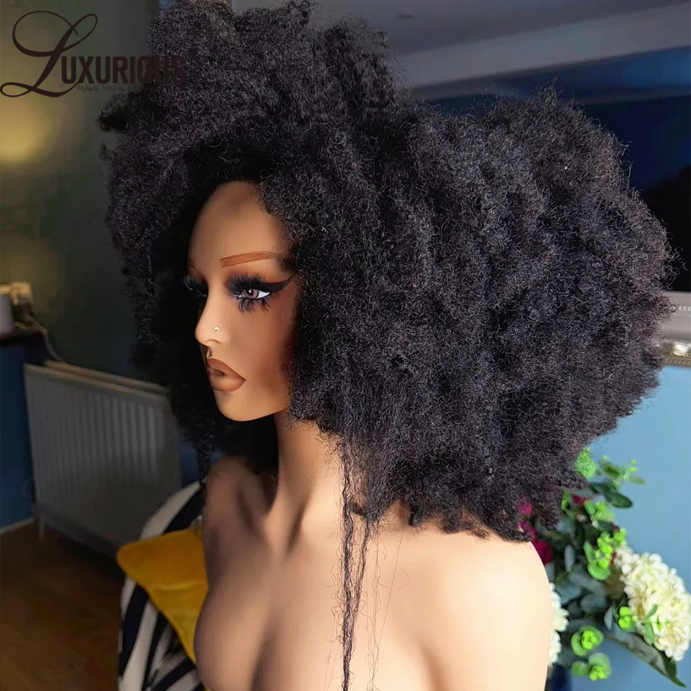 13x4 mongolische Afro-Lockenperücke, 300 % Dichte, flauschige, verworrene Locken, 360-Grad-Vollspitze-Perücke, brasilianische 100 % Echthaar-Perücken für schwarze Frauen