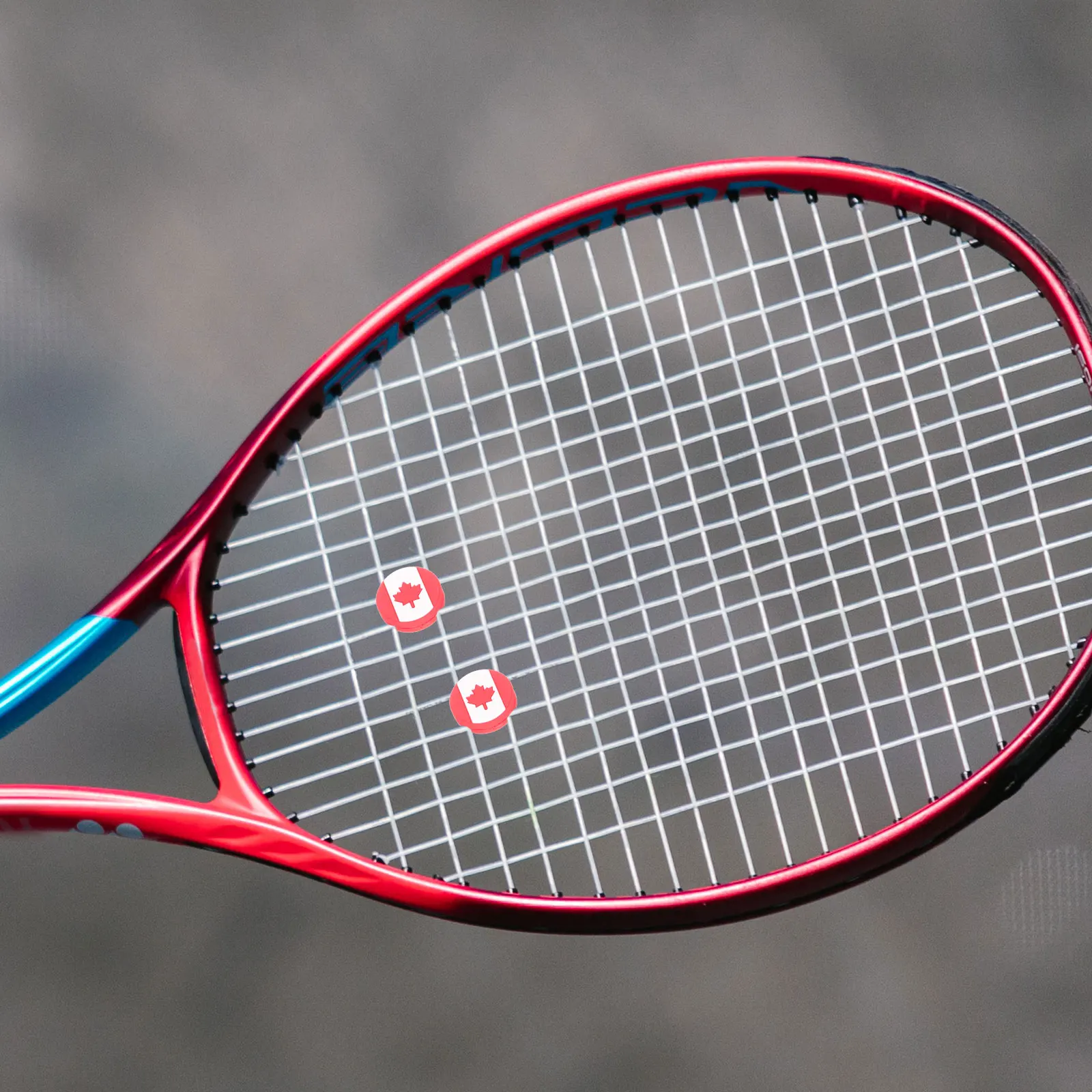 

6pcs Racket Silicone Vibration Dampener Replacement Damper Tennis Accessory Shocking Absorber Racquet
