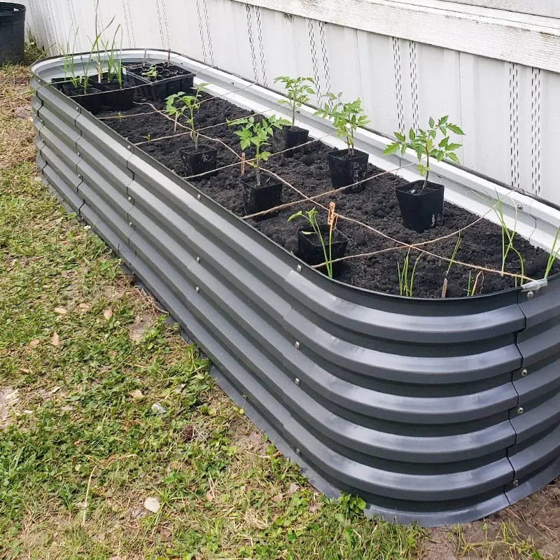 galvanized raised garden bed outdoor