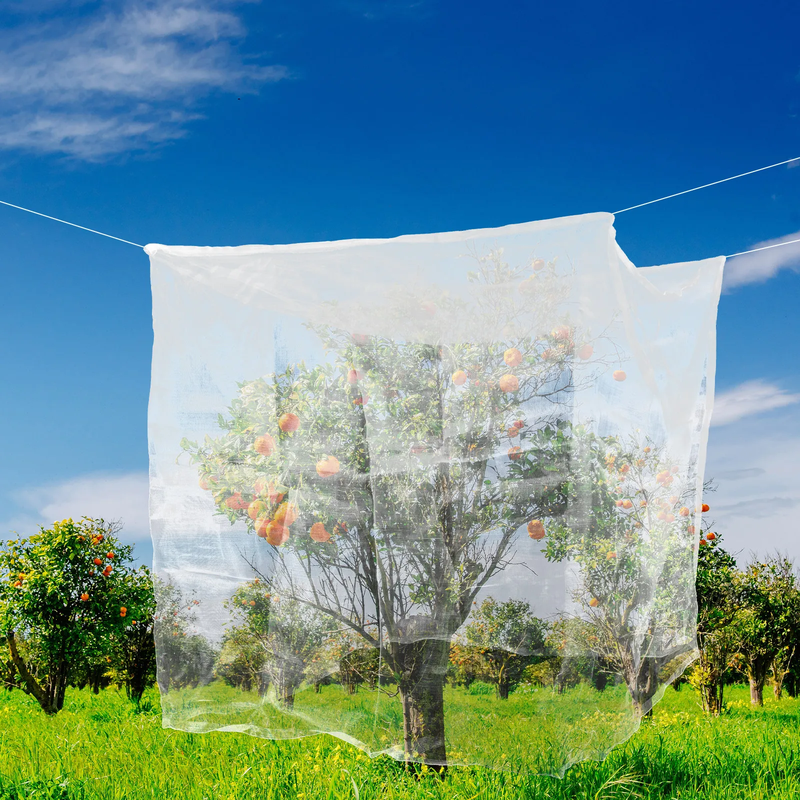 

Garden Bird Netting 2M X 10M Heavy Duty Uv Resistant Polyethylene Mesh for Fruit Trees Vegetables Plants Protection