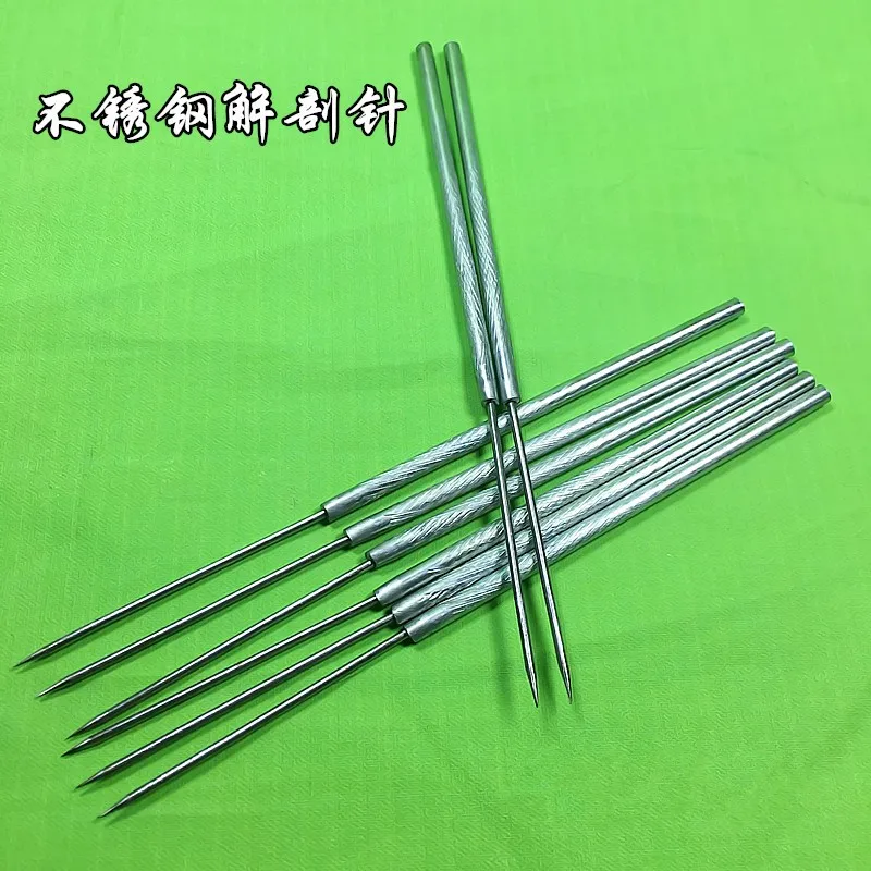 Insect dissecting needle Stainless steel biological experiment probe Straight tip curved tip Specimen dissection tool