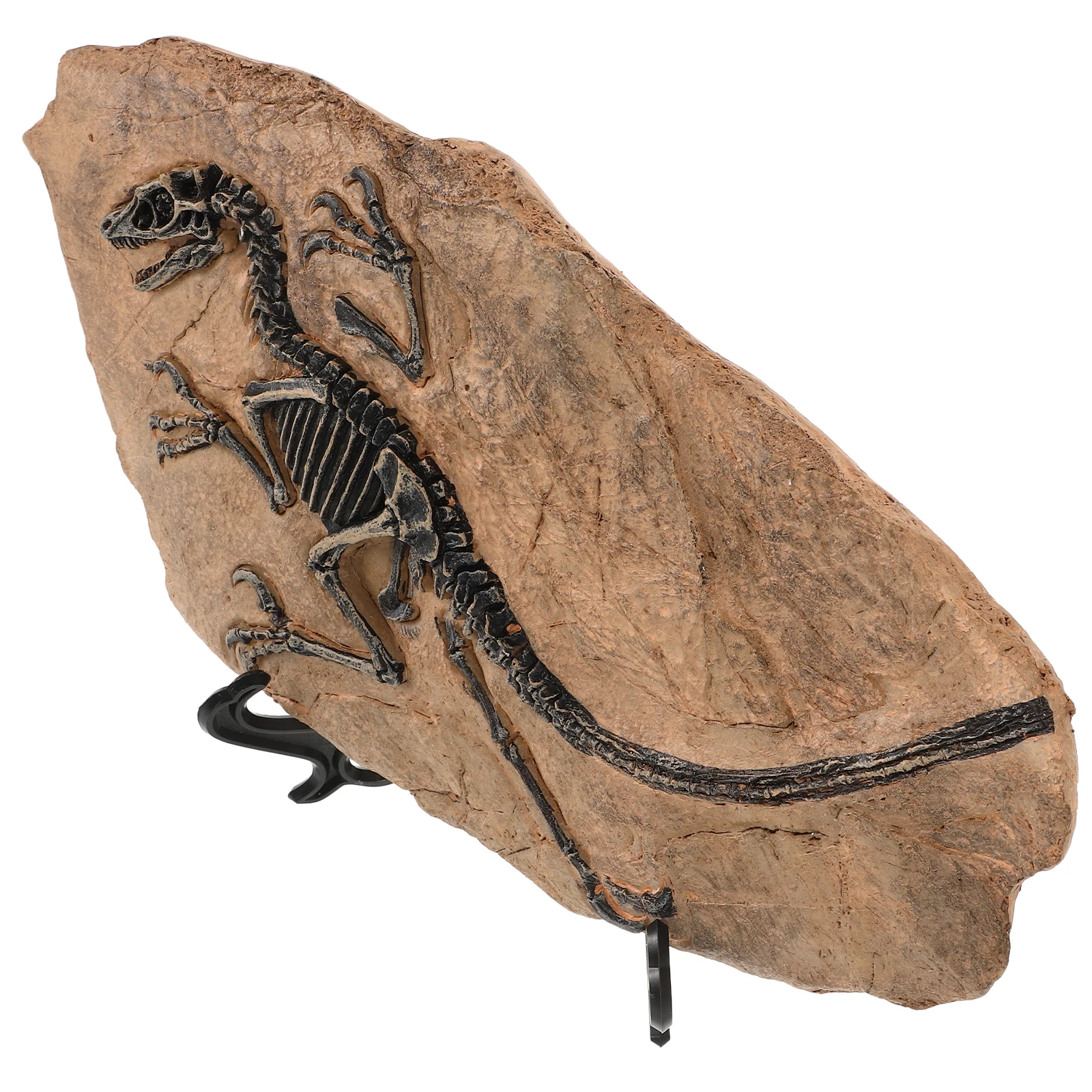 

Dinosaur Fossil Ornaments Home Decor Action Figures Office Decoration Sandbox Crafts Birthday Decorations Model Resin