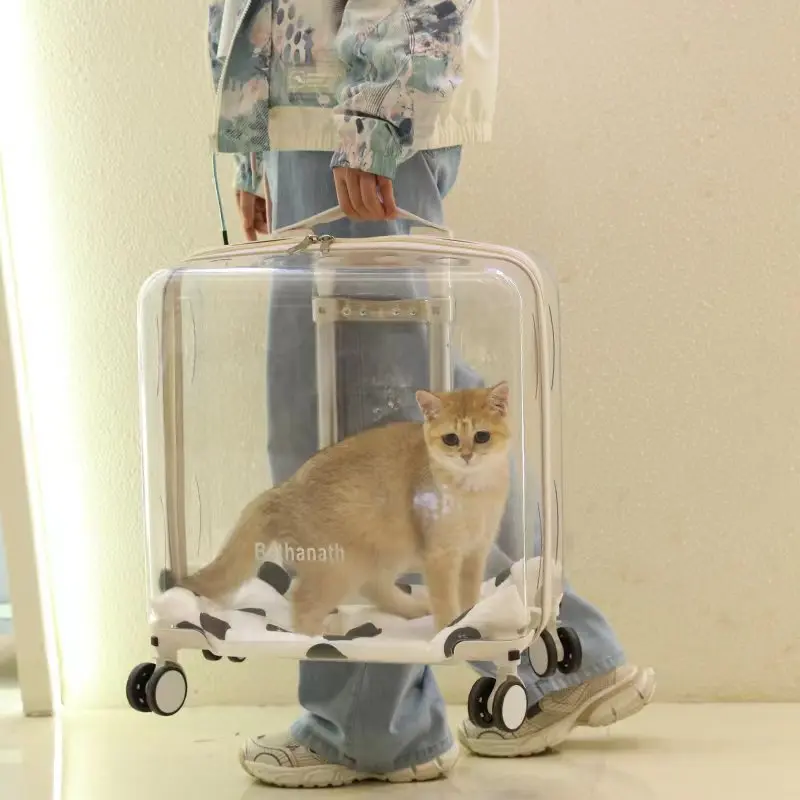 Small Pet Trolley Case Transparent Breathable Pet Cat Bag Portable Going Out Suitcase Transparent Cat Handbag