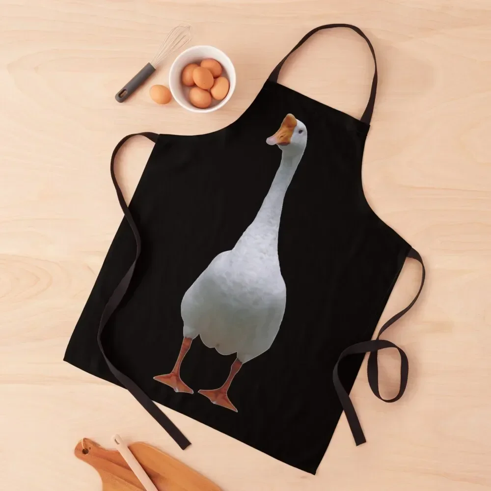 

Goose Apron Waterproof women Kitchen Items Nursing Kitchen Supplies Idea Goods Apron