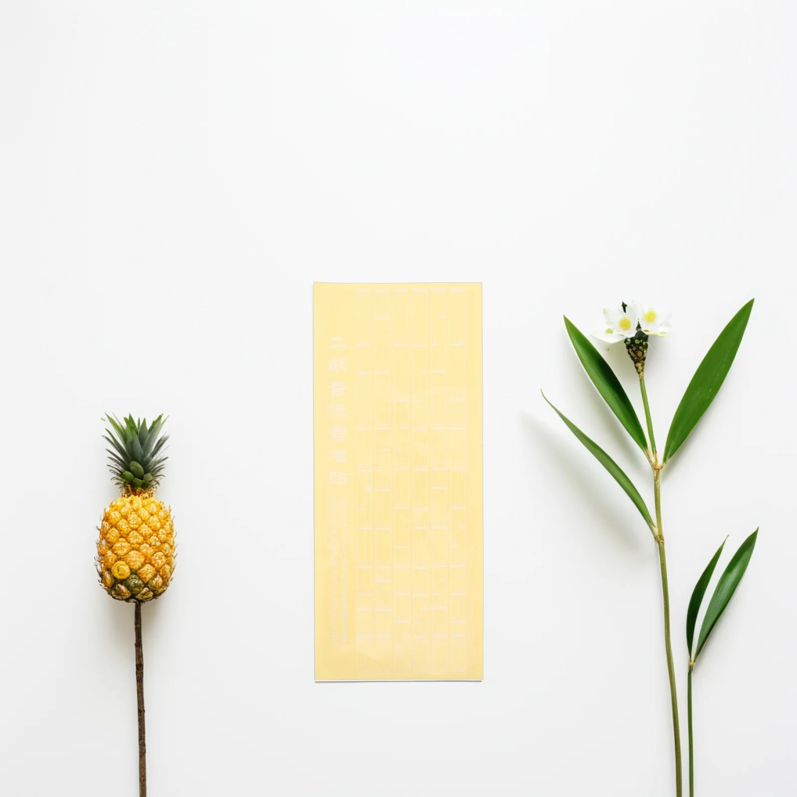 

Erhu Fretboard Stickers Note Map Decals for Beginners Accurate Scale Finger Position Pitch Chart Practice Tool