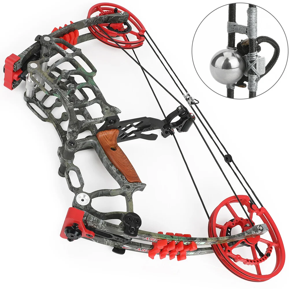 Set Arco Compound Bivalente 30 - Is Hunting Outdoor Recreation recensione e prezzo