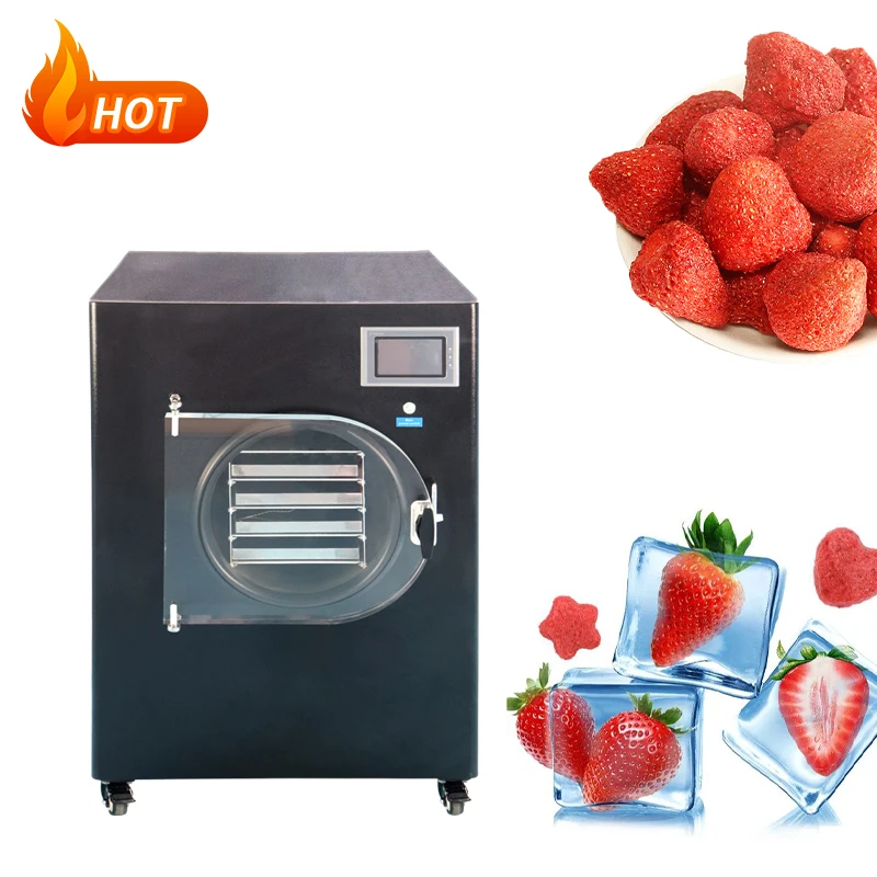 Hot Sales 3kg 4kg 6kg 10kg Fruit  Machine Small Mini Laboratory Vacuum Home Food Freeze Drying Dryer Equipment