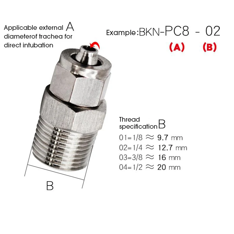 304 Stainless Steel Pneumatic Pipe Fitting Female Male 1/8” 1/4” 3/8” 1/2” Inch Thread Tube 4 6 8 10 12mm Quick Screw Connector