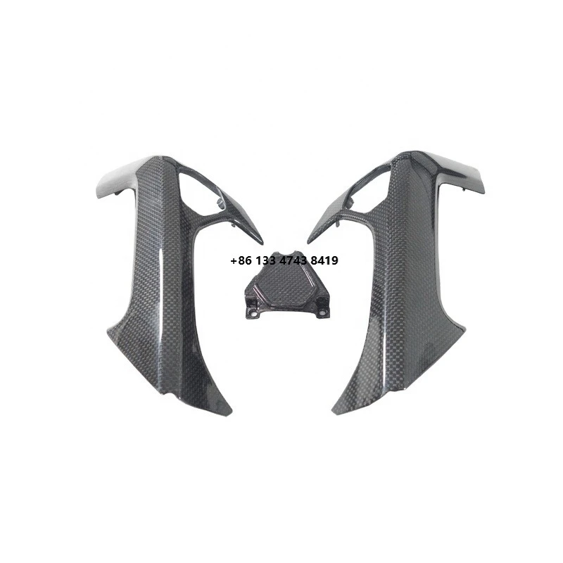 

Dry Carbon Fiber Inner Door Handle Replacement) for Huracan LP610-4 LP580 2014-2019