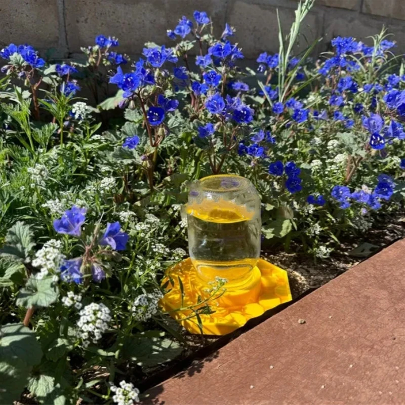 Plastic Safe Bee Feeder with Resting Place - Bee-Friendly Watering Station Fits Mason Jars for Garden & Patio Bees & Butterflies