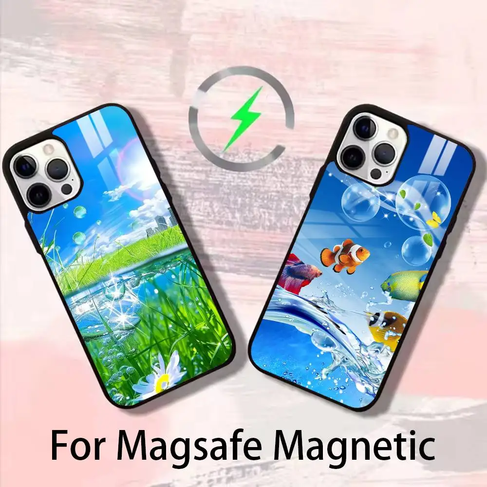 

F-Frutiger Aero Phone Case For iPhone 17,16,15,14,13,12,Plus,Pro,Max For Magsafe Magnetic Wireless Charge
