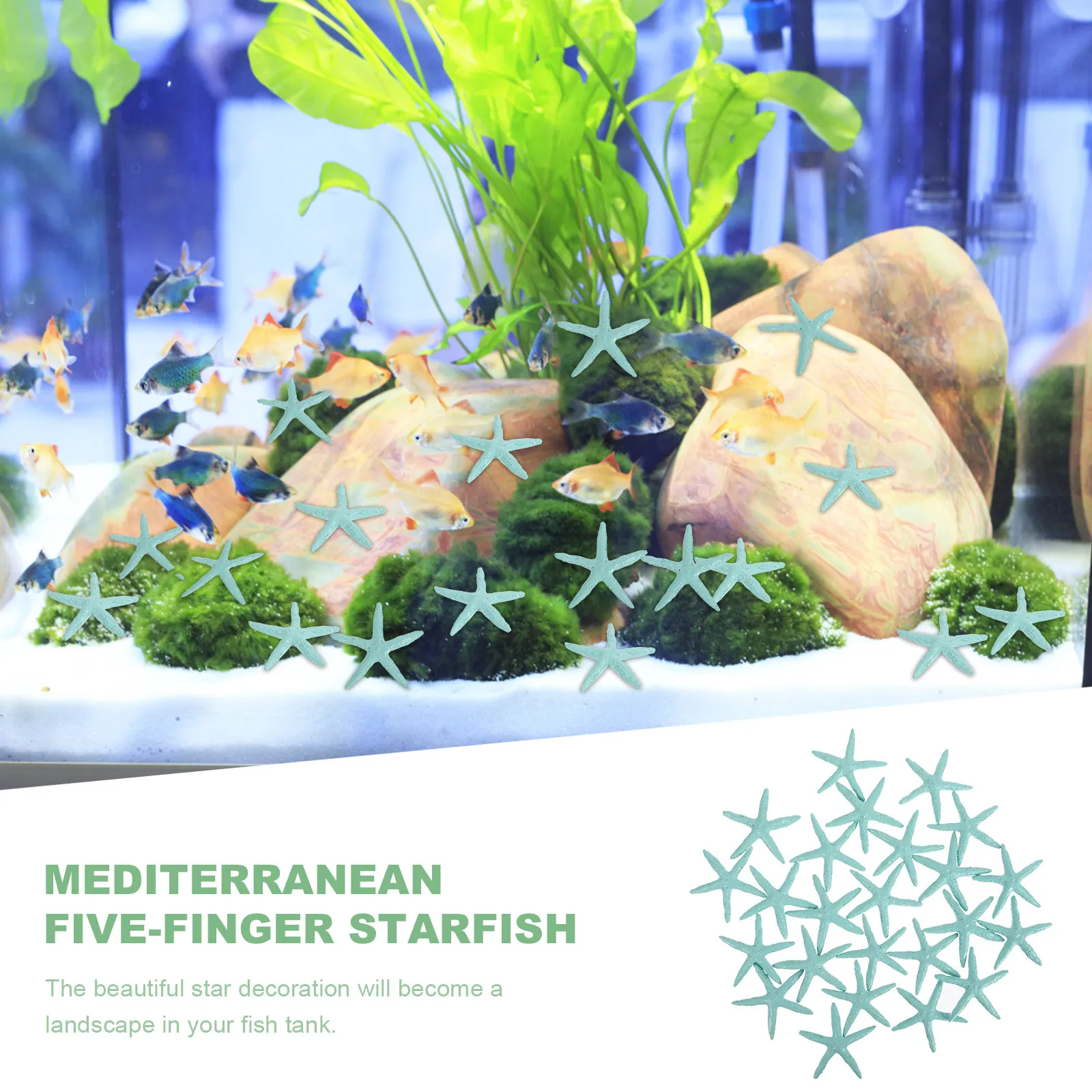 24 Adet Eşsiz Reçine Deniz Yıl - Aquarium Fish Unique incelemesi ve fiyatı