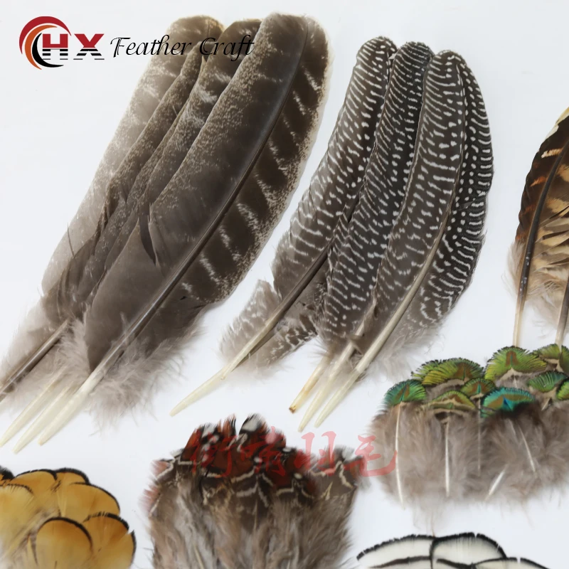 Wholesale Natural Pheasant Peacock Feathers Small Eagle Chicken Plumes Ostrich Decor DIY Handicraft Accessories Jewelry Creation