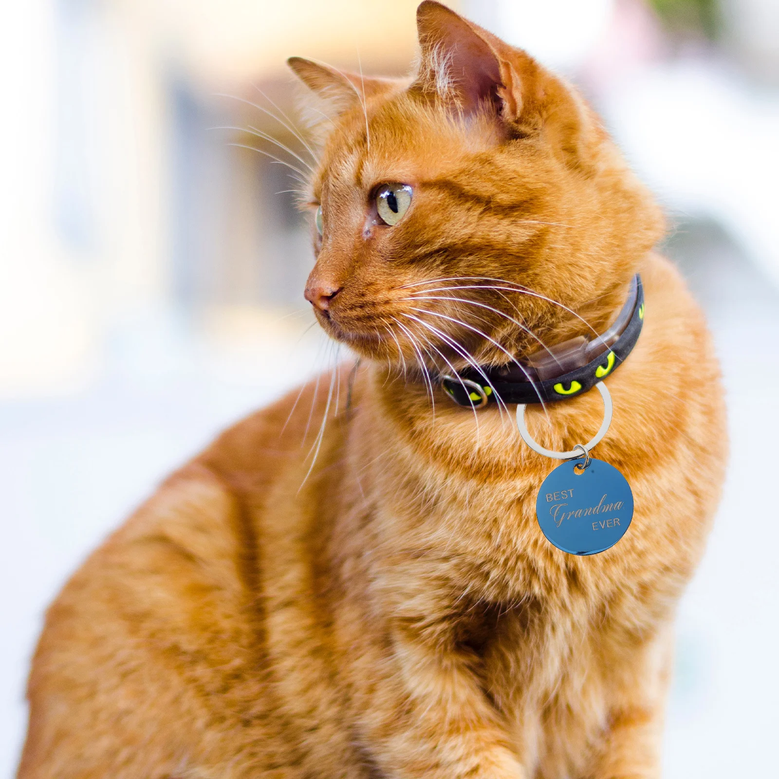 

4Pcs Pet Id Tags Stainless Steel Round Dog Tag Pendant Anti-Lost Name Plate for Cats Puppies Rabbits Custom Engraved Pet