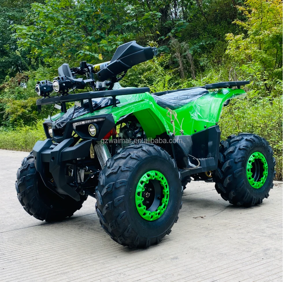 

Дешевый 125cc гоночный внедорожный картинг на продажу, внедорожный пляжный багги для дюн для взрослых