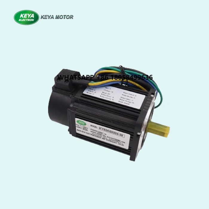 

Compact and Efficient 3000RPM 400W 48V DC Servo Motor With Incremental Encoders Motor From Keya