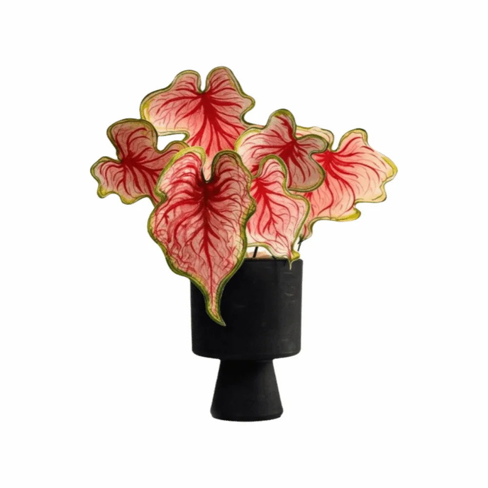 3D Artificial Plant Fridge Stickers Magnets Waterproof Rotatable Mini Artificial Plant Fridge Magnets Lifelike Cactus DIY