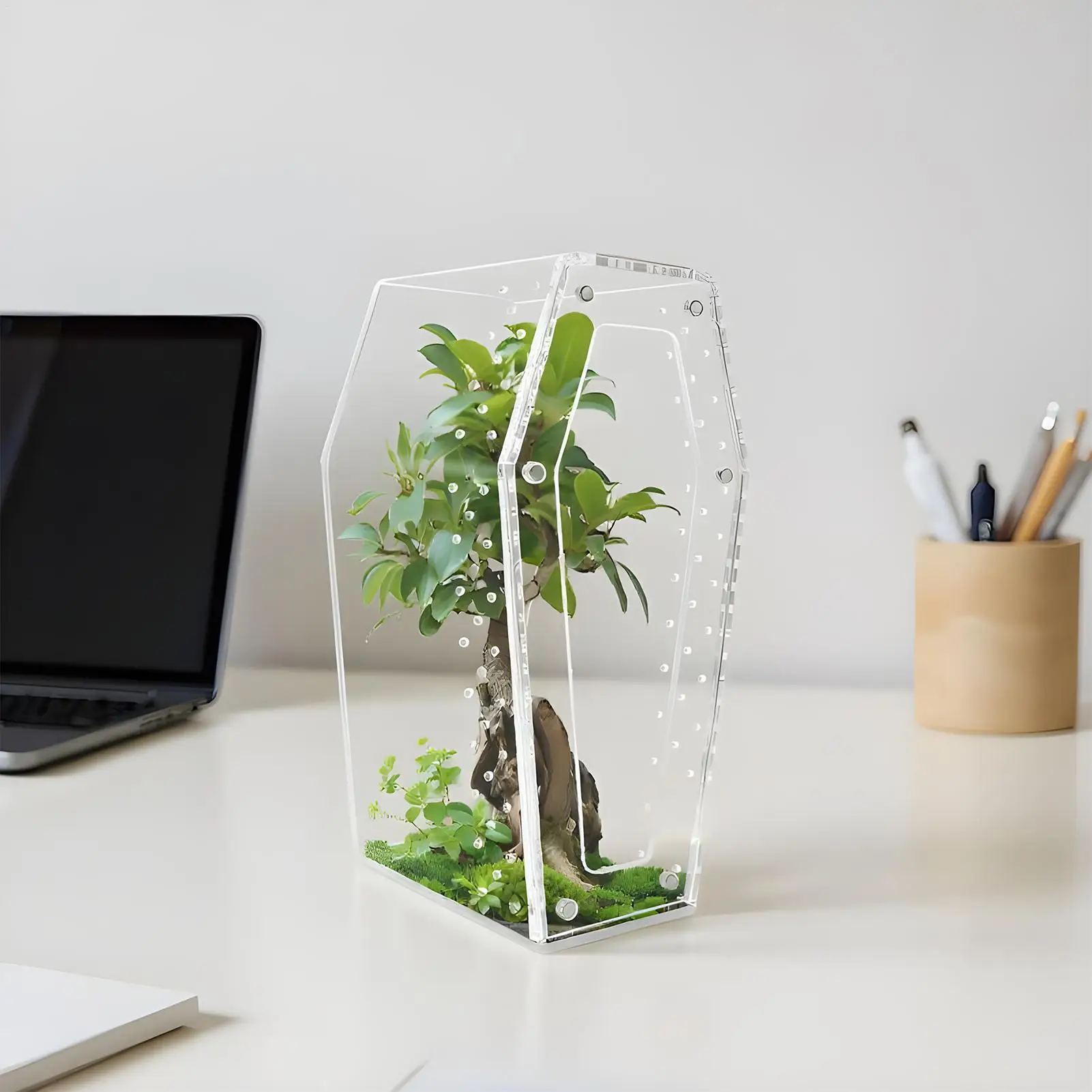 

Jumping Spider Terrarium Clear Acrylic Tree Frog Cage Praying Mantis Enclosure For Keepers Nature Lovers Educators Hobbyists