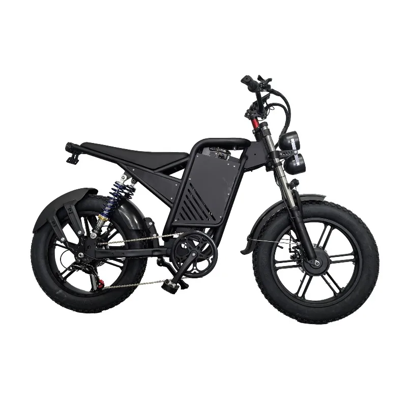 

Electric power bicycle Dual motor Dual shock absorption Dual drive motor Electric vehicle